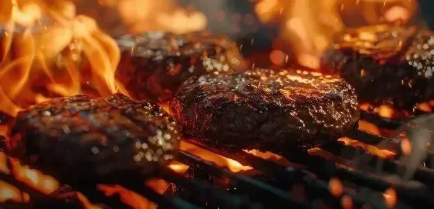 Brasa Burguer Brasil